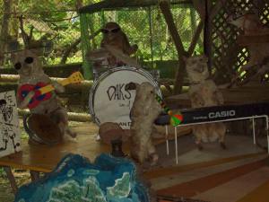 Funny Stuffed Animals Rock Band at Daks and Gams
